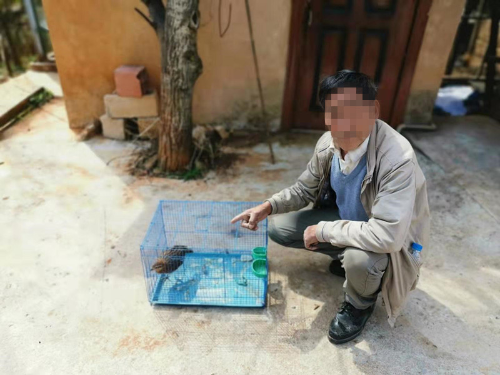 微信图片_20200324170634